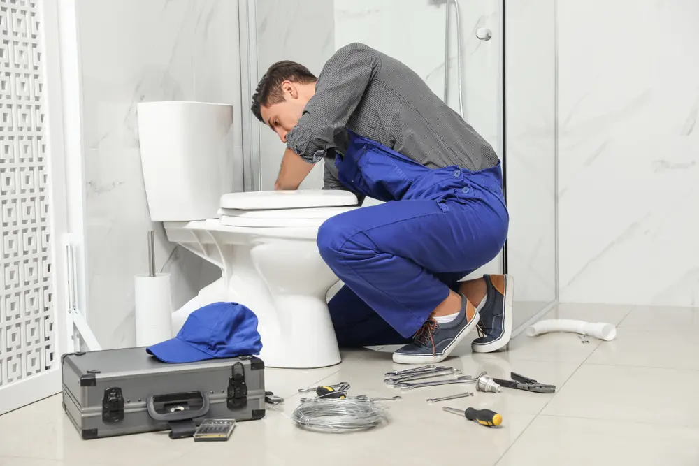 Toilet Installation in Petronila